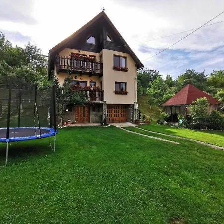 Villa Vila Deea Bran *