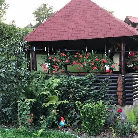 Vila Deea Bran Bran (Brasov)